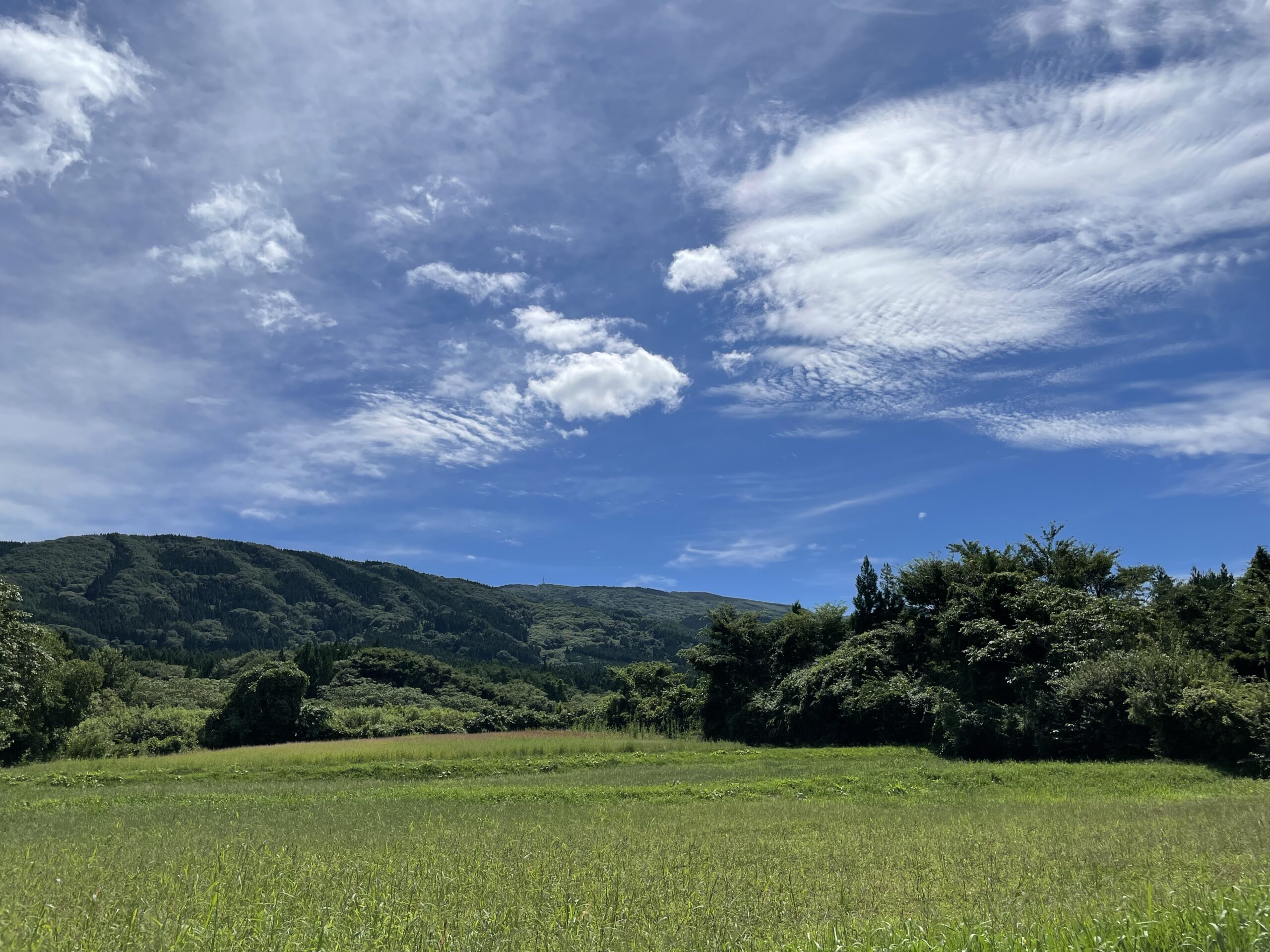 階上町を散歩しながら